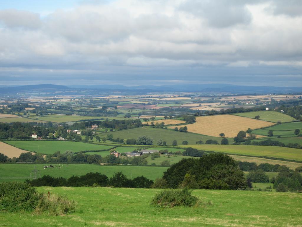New House Farm Bed And Breakfast Aston Ingham Quarto foto