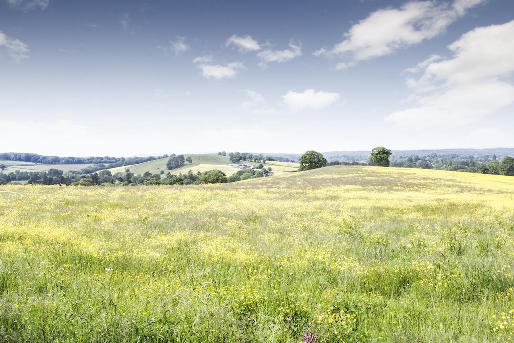 New House Farm Bed And Breakfast Aston Ingham Quarto foto